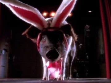 Cadbury Bunny Tryouts Commercial