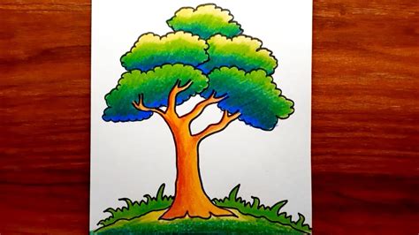 Tree Drawing || How To Draw Tree Step By Step || Tree Drawing With Colour || Tree Drawing. - YouTube