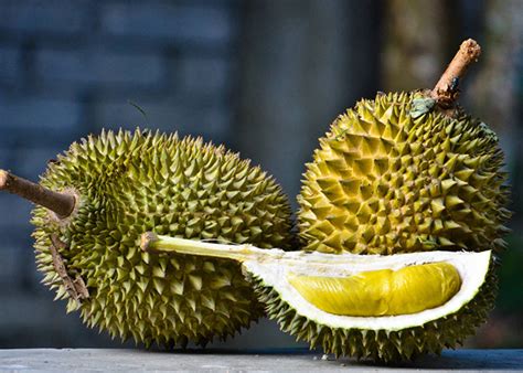 Durian Harvests - Musang King Durian Investments