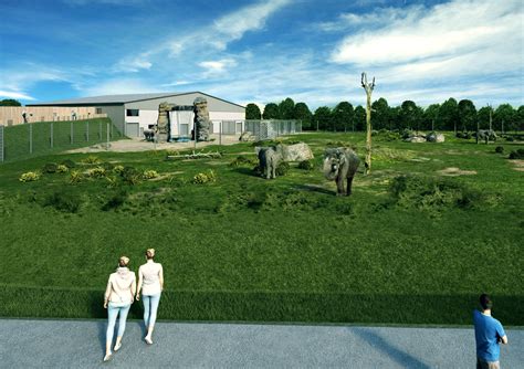 About the Project – Project Elephant | Blackpool Zoo