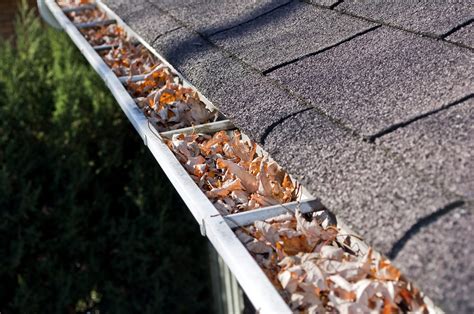 4 Signs That You Have Clogged Gutters - Community Roofing & Restoration