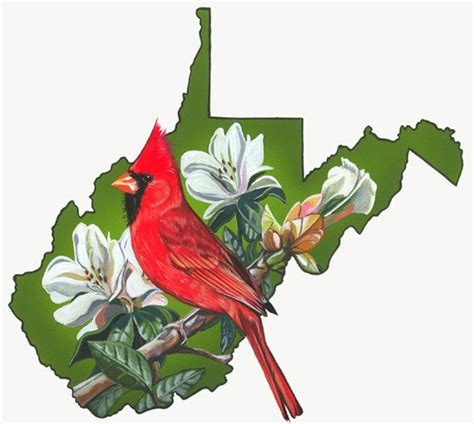 Items similar to West Virginia state bird and flower on Etsy