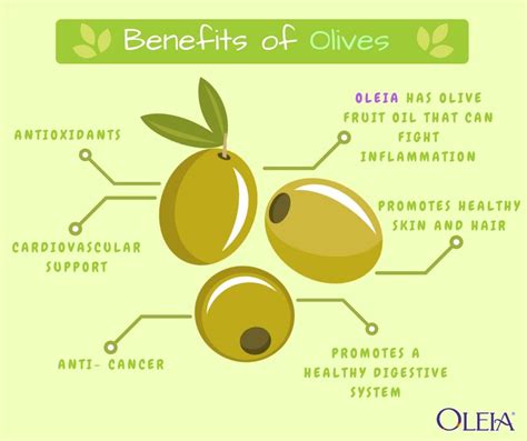 Benefits of Olives Nutrition Month, Health And Nutrition, Olive Fruit Oil, Olives, Healthy Skin ...