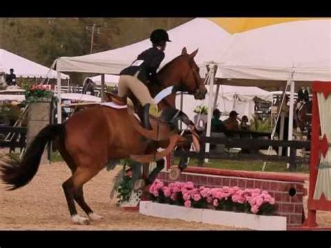 HITS- Horse Show In The Sun~Ocala, FL - YouTube