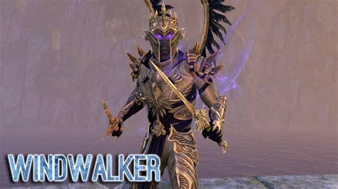 Powerful Stamina Sorcerer Build for ESO - Damage Dealer DPS