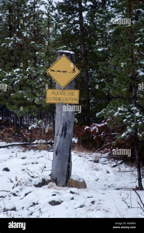 Close-up of warning sign, Yukon, Canada, North America Stock Photo - Alamy