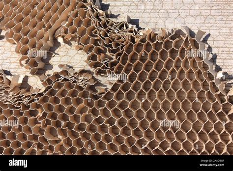 Honeycomb structure on cardboard Stock Photo - Alamy