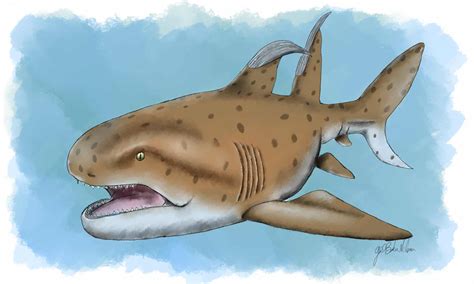 Why Scientists Were Stunned By An Unusual Shark Named The "Godzilla Shark" - A-Z Animals