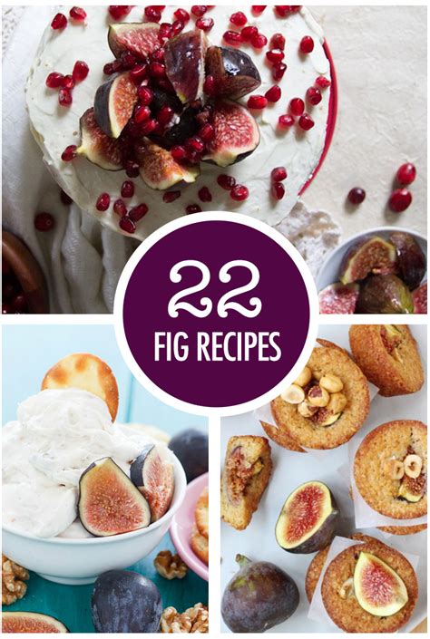 22 Mouthwatering Fig Recipes | Food Bloggers of Canada