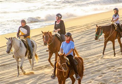 Cabo San Lucas Cruise Excursions | Cabo Horseback Rides - $100us