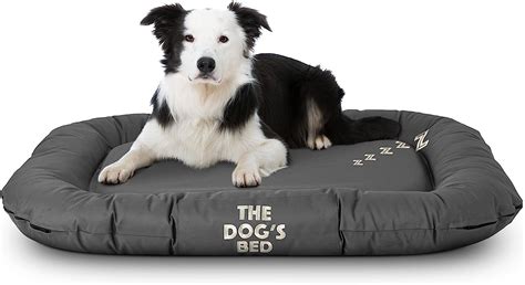 The 9 Best Chew Proof Dog Beds For Heavy Chewers