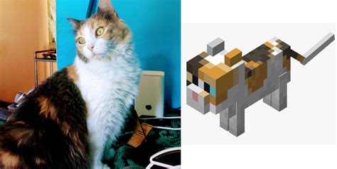 This is why I always tame calico cats in Minecraft. It looks like my ...