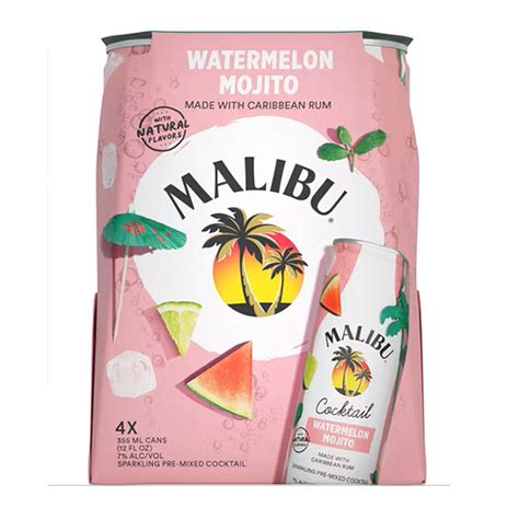 MALIBU WATERMELON MOJITO 4-PACK – Water Street Wines & Spirits