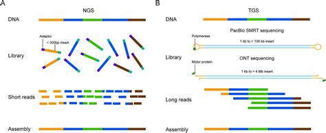 Application of third-generation sequencing in cancer research