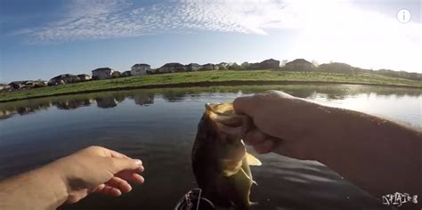 Kayak Fishing in Hidden Neighborhood Ponds