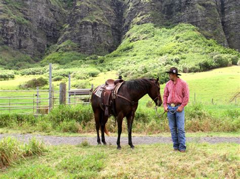 Kualoa Ranch - 1 Hour Horseback Ride - Hawaii Discount