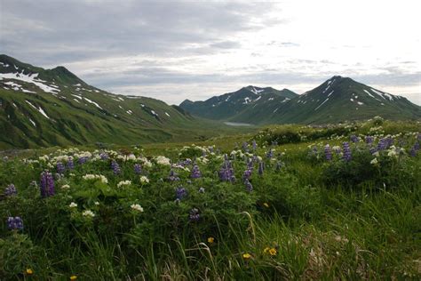 Attu Island, Aleutians, Alaska | Attu island, Alaska usa, Aleutian islands