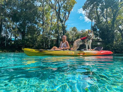 Guide to Kayaking Crystal River and Three Sisters Spring - Rachel's ...