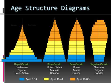 Age Structure Diagram Types