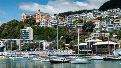 Best Things To Do In Wellington New Zealand | Hot Sex Picture