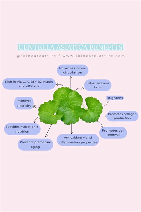 🍀CENTELLA ASIATICA BENEFITS | Healthy skin care, Plant benefits, Skin facts