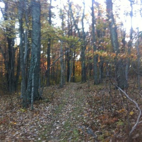 Swift Run Gap Shenandoah National Park Entrance - Virginia