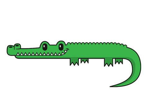 Vector Alligator Illustration