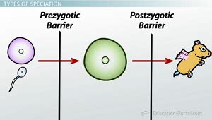 Reproductive Isolation Definition