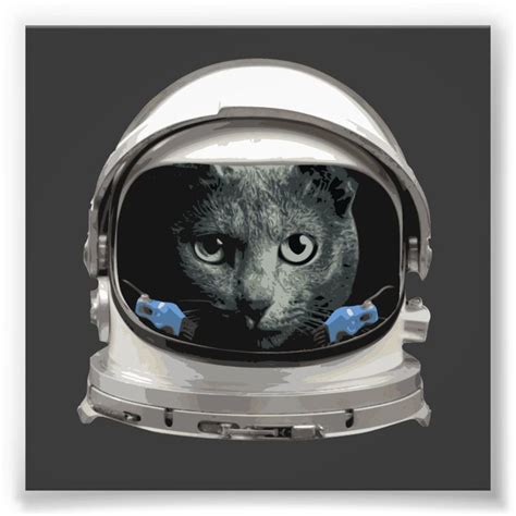 Space Helmet Astronaut Cat Photo Print | Zazzle.com in 2021 | Astronaut ...