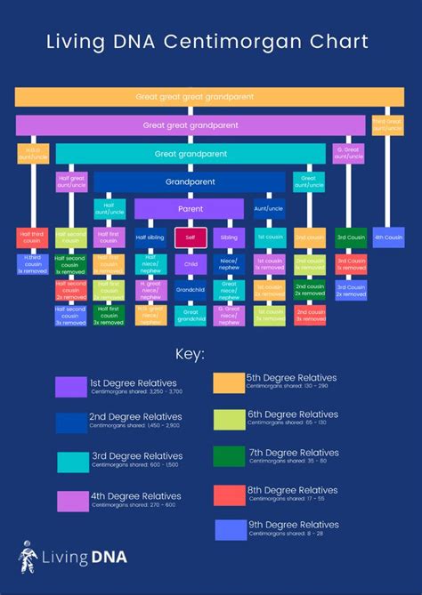 Centimorgan Chart: Understanding DNA Relationships | Family relationship chart, Relationship ...