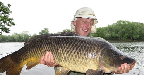 Rhode Island Carp Fishing: Return to Merrimack River Yields MA PB Common