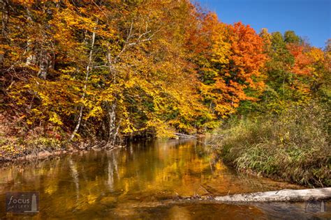 Betsie River | Focus Gallery - Frankfort, Michigan