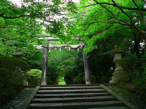 Shinto Shrines of Japan: The Blog Guide