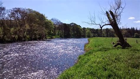 River Tweed (Scotland) - All You Need to Know Before You Go (with Photos) - TripAdvisor