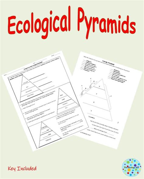 10++ Ecological Pyramids Worksheet Answers – Worksheets Decoomo