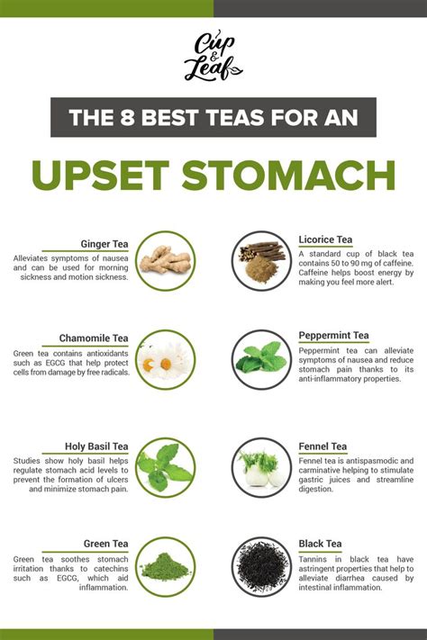 The 8 Best Teas for an Upset Stomach | Stomach remedies, Upset stomach, Best tea