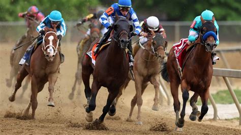 Travers Stakes 2024 Horses List Pdf - Ivett Letisha