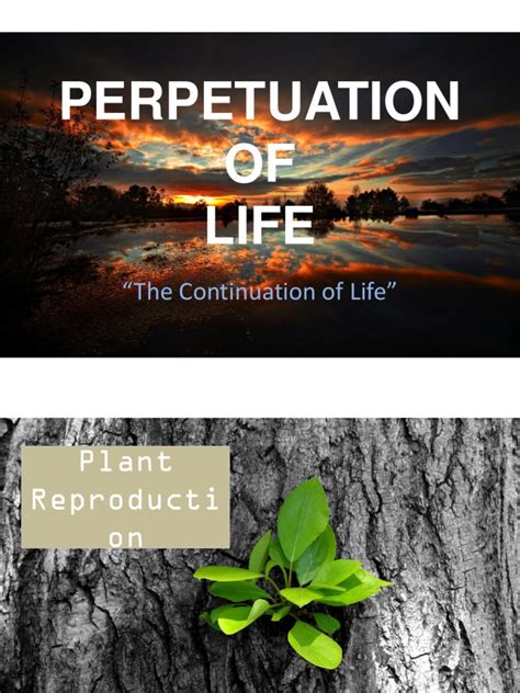 1.0 Perpetuation of Life | Plant Reproduction | Reproduction