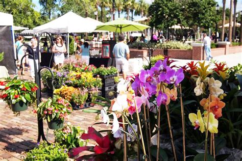 Winter Garden Farmer's Market | Today's Orlando