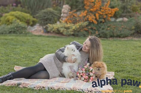 Best Grass Seed For Dogs: Top 5 Options For A Lush And Pet-Friendly Lawn | Alpha Paw