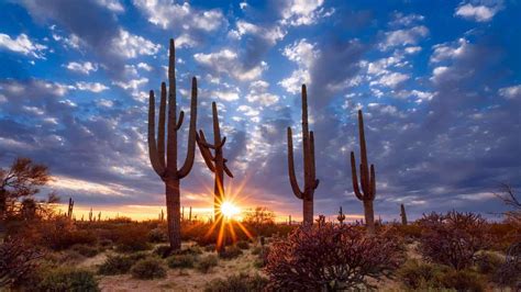 Living in Sun City AZ ️☀️⛳️ | Guide to the Famous Sun City Arizona Retirement Community