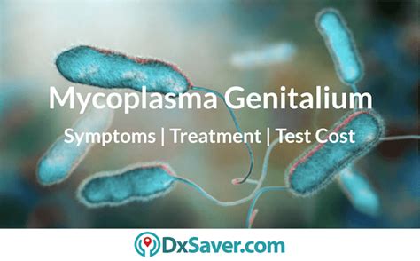 Is Mycoplasma Genitalium an STD? Know more about the Symptoms ...