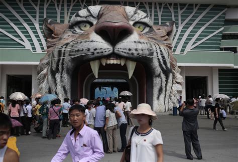 The newly renovated North Korean national zoo has a surprising exhibit | Mashable