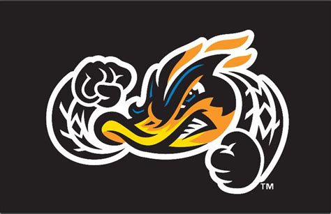 akron rubberducks | Akron RubberDucks Cap Logo (2014) - A orange-billed duck with a black ...