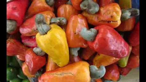 Cashew fruit! 🇯🇲 | Jamaican recipes, Caribbean recipes, Food