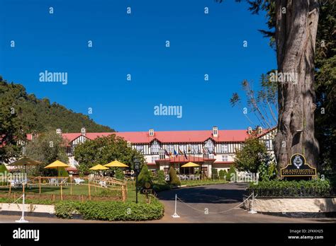 Nuwara Eliya tea fields of Sri Lanka Stock Photo - Alamy