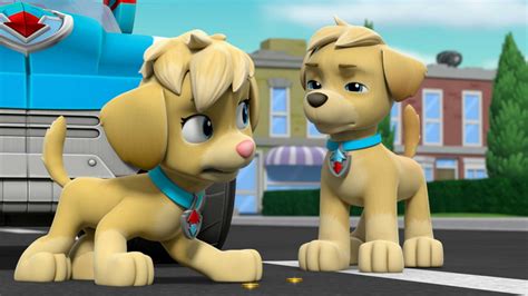 Watch PAW Patrol Season 6 Episode 10: Mighty Pups, Super Paws: Pups ...