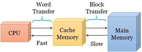 Difference Between Cache and Main Memory (with Comparison Chart) - Tech Differences