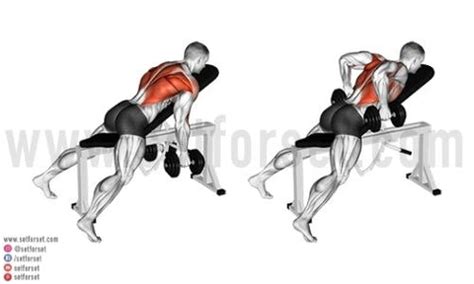 9 Best Dumbbell Back Exercises to Enhance Your Workouts - SET FOR SET