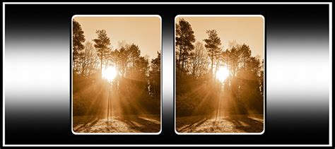 Stereoscopic (3D) Photography with a Single Lens – The Stereoscopy Blog